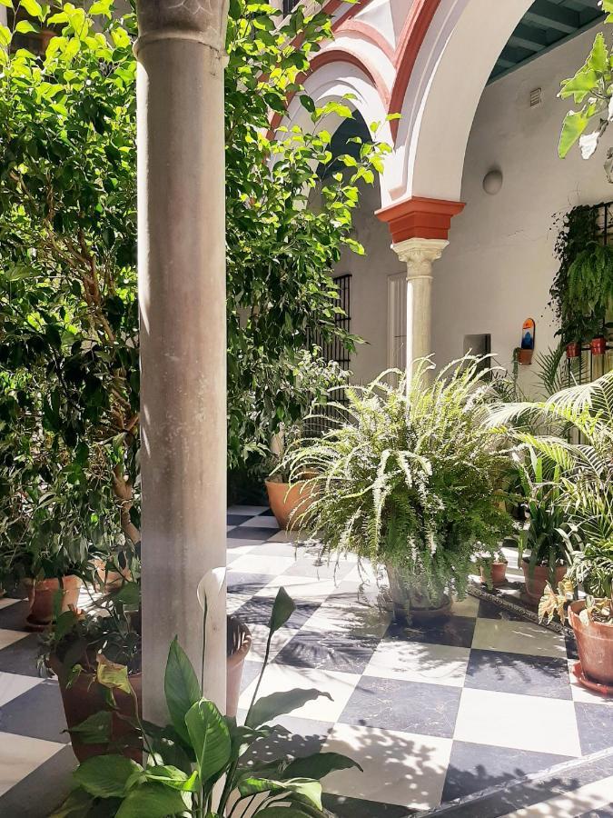 Апартаменти Downtown Loft In A 16Th Century Convent Севілья Екстер'єр фото