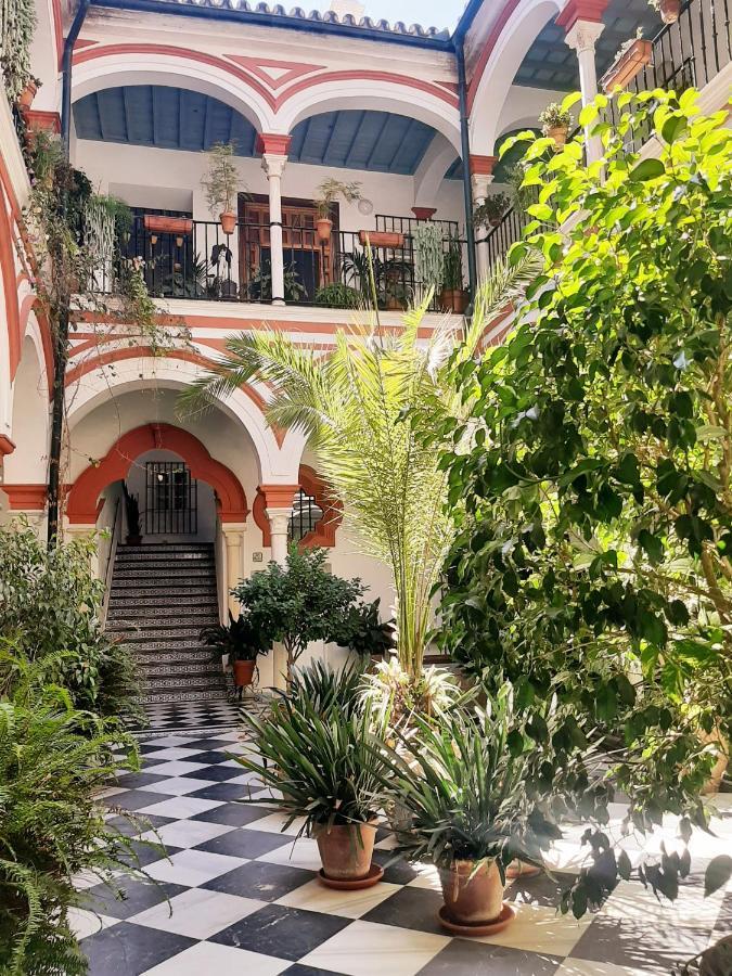Апартаменти Downtown Loft In A 16Th Century Convent Севілья Екстер'єр фото